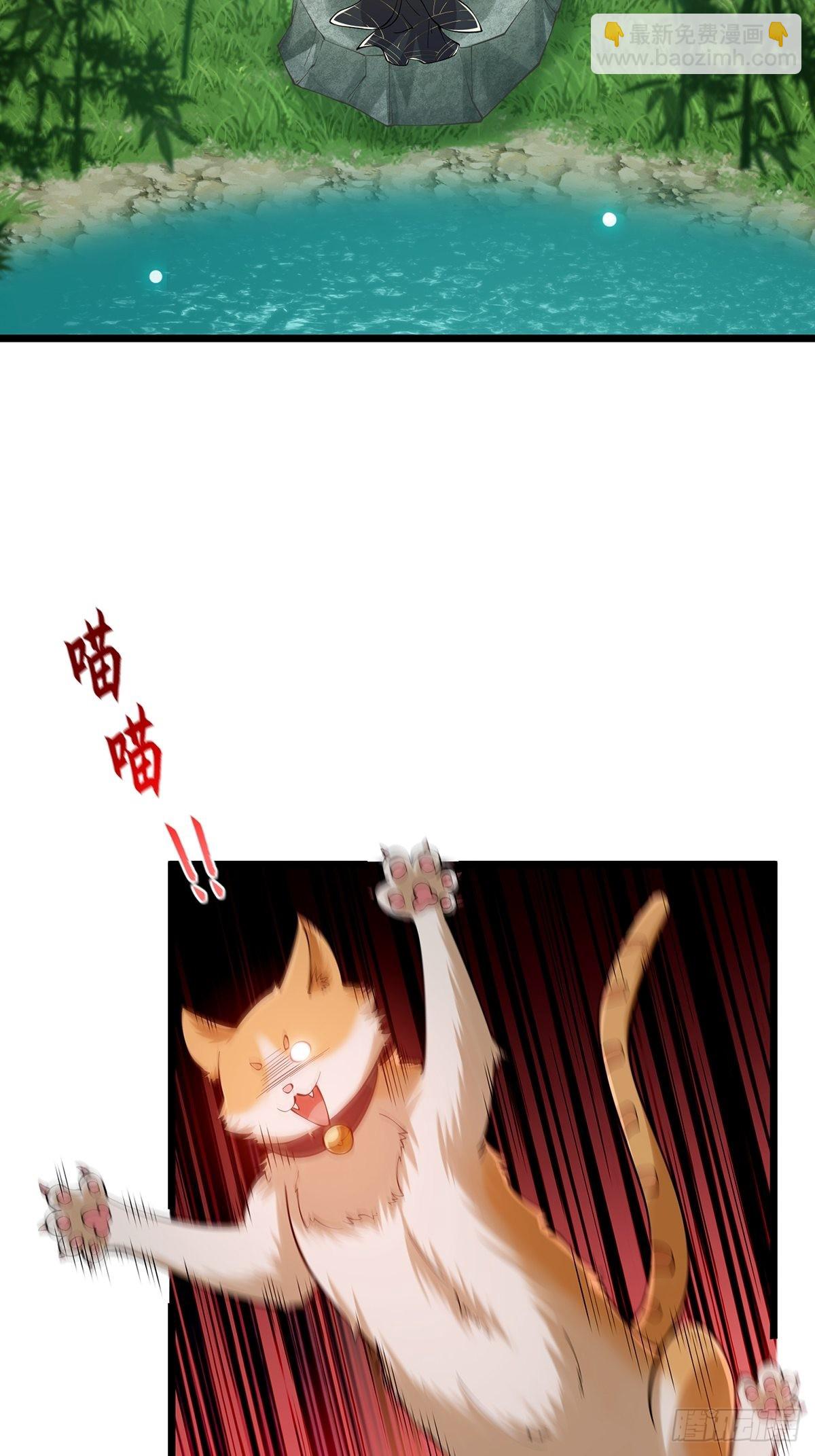 017 撸猫真的有毒(1/2)-第19话