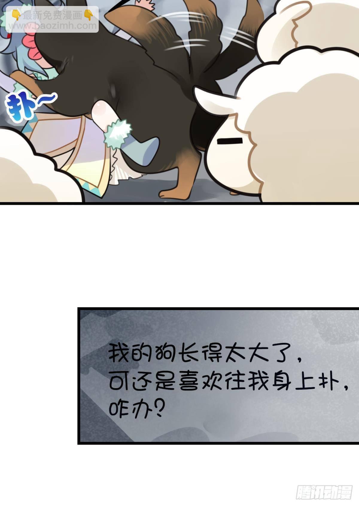 走错帐篷的熊先生-第3话