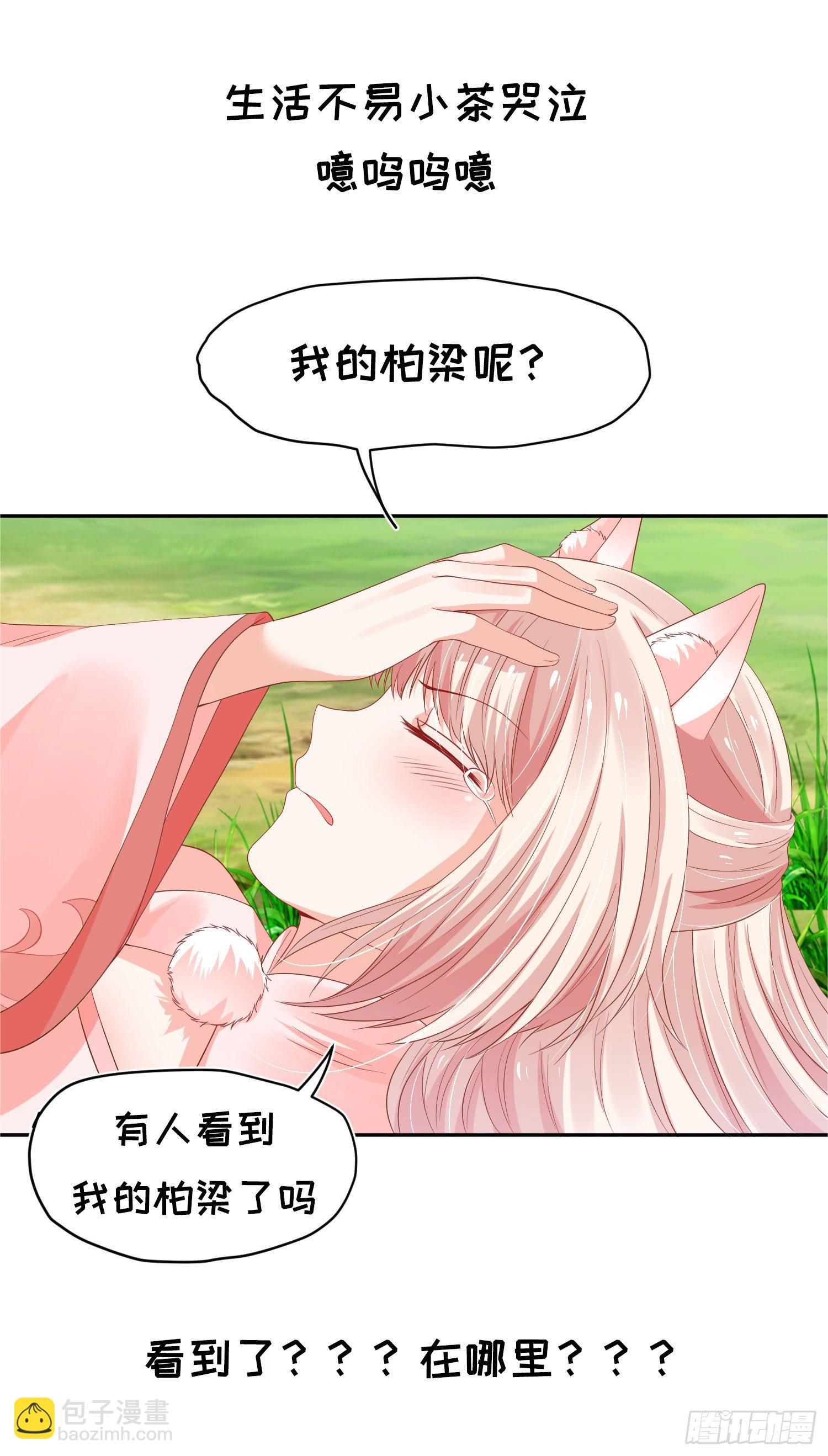 狐小茶的碎碎念-第45话