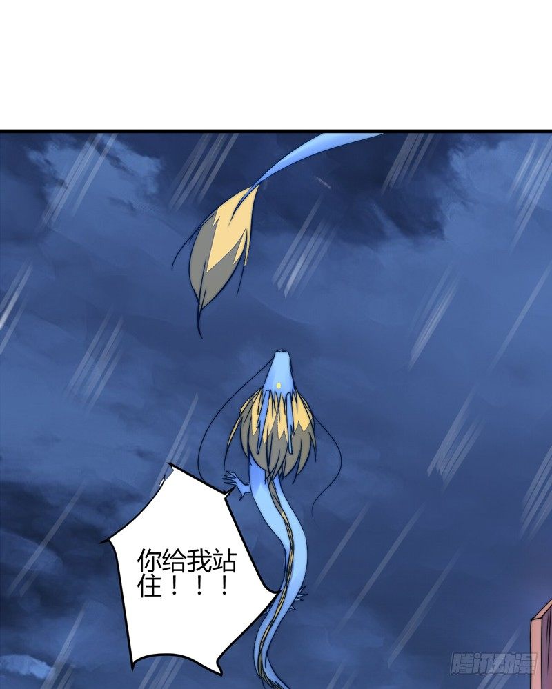 雌雄双龙(1/2)-第21话