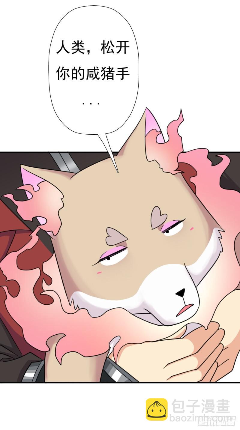 魅狐君怡(1/2)-第125话