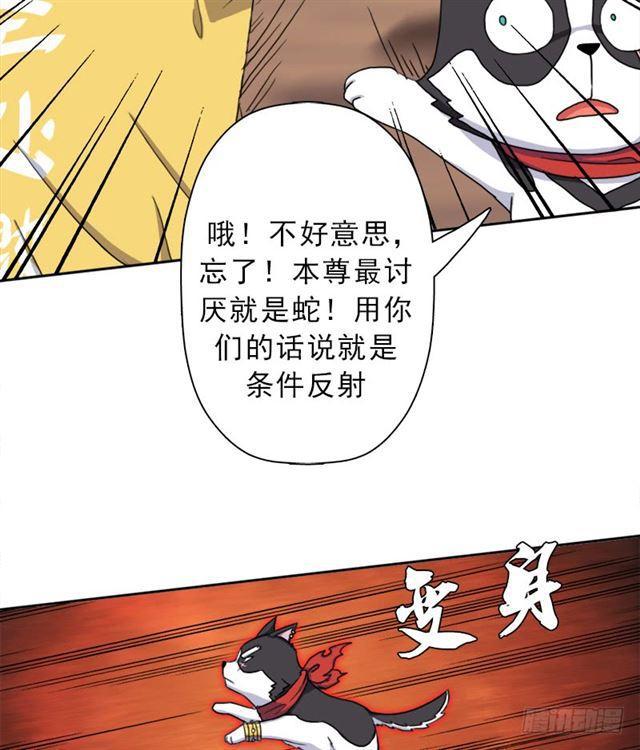 火狱(1/2)-第41话