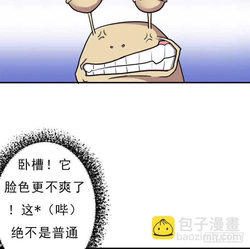 金铃儿(1/2)-第95话