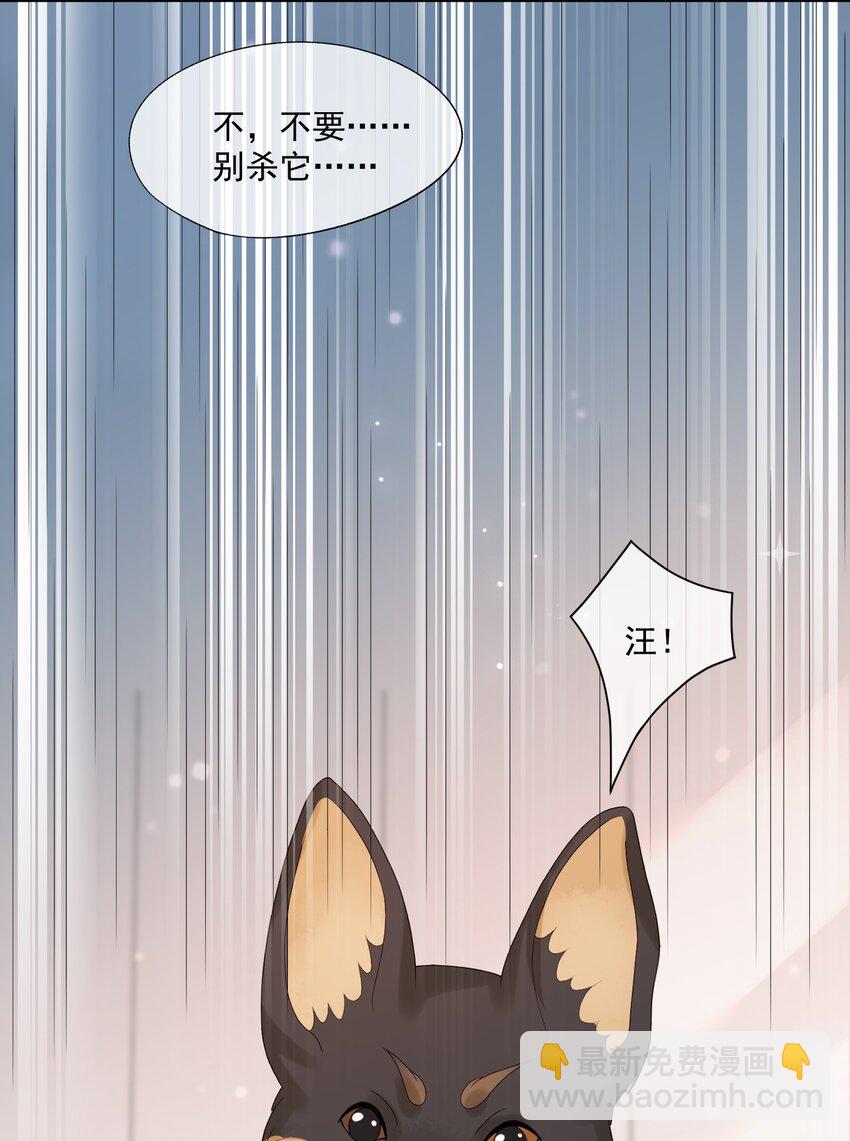 第29话 要做脱敏治疗吗？-第29话