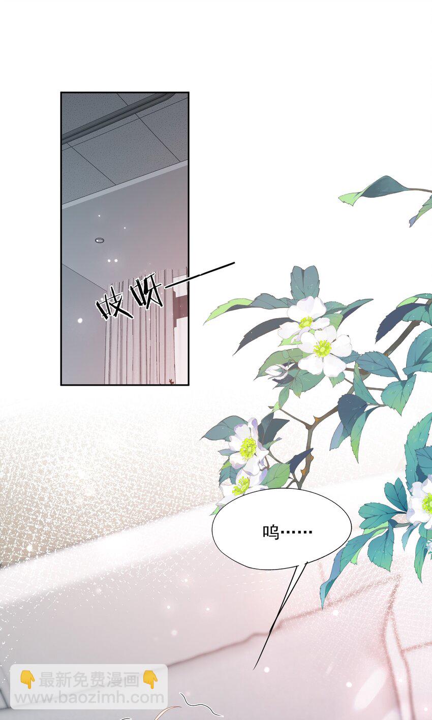 第33话 像小刺猬一样可爱-第33话