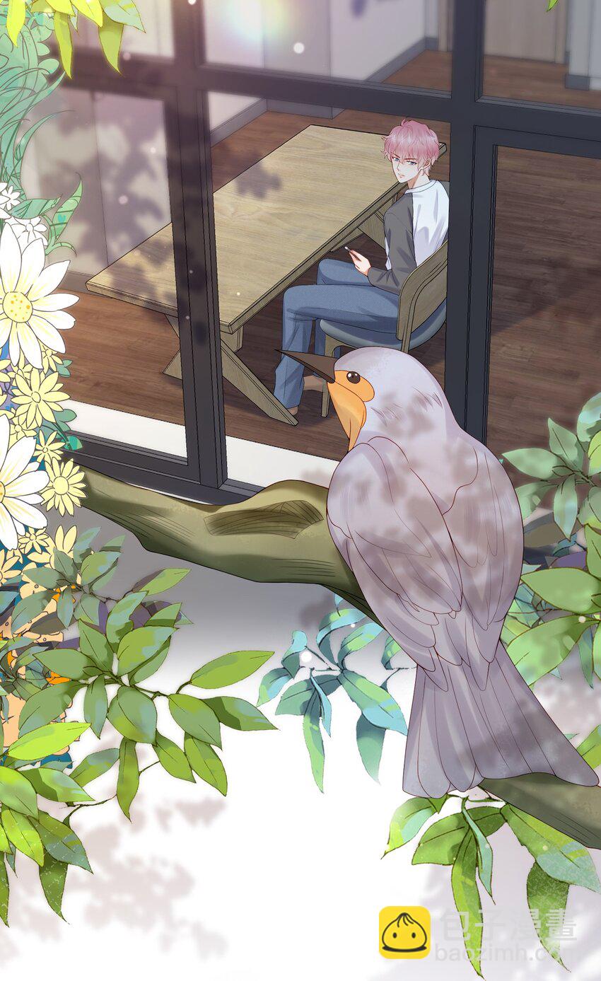 第45话 白糖遇险？！-第45话