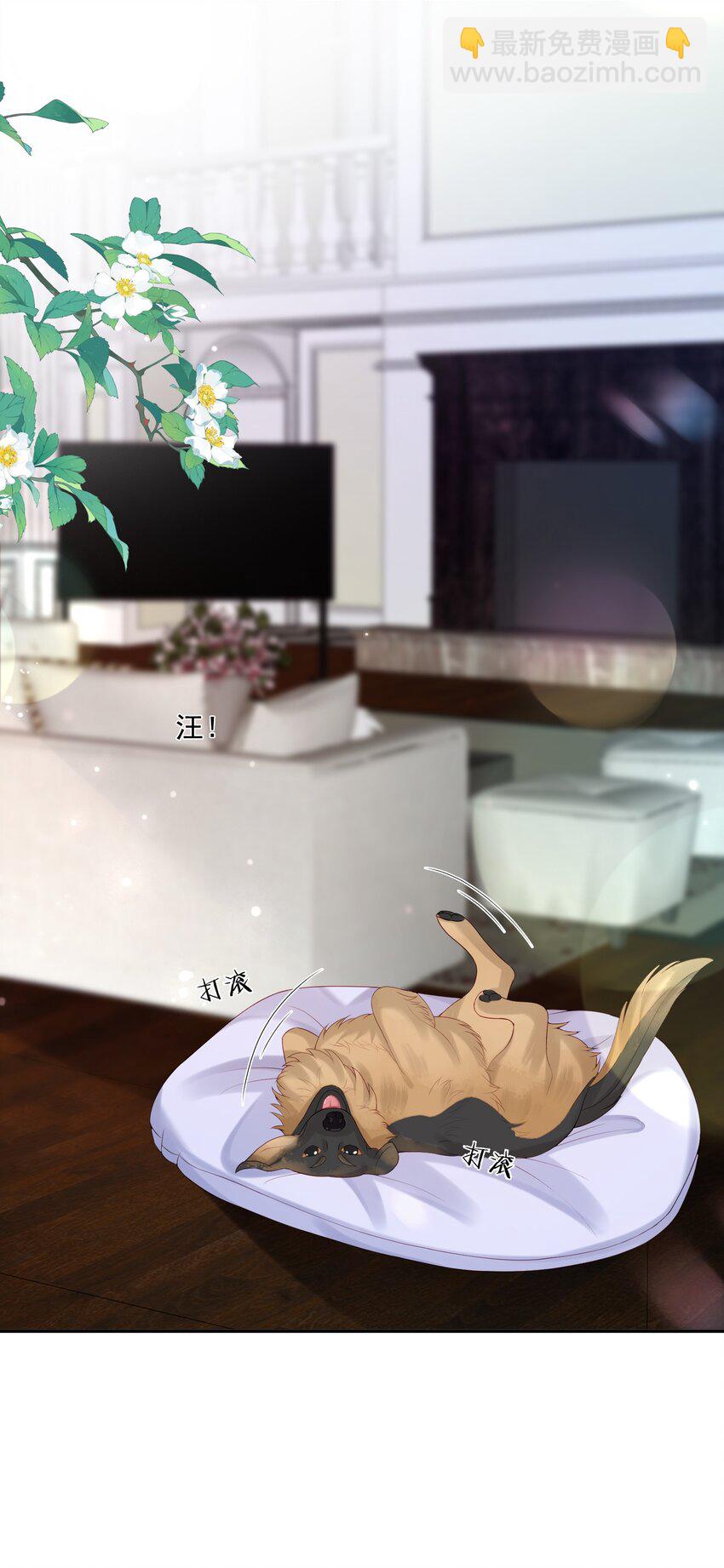 第50话 哎呀~我摔倒啦~-第51话