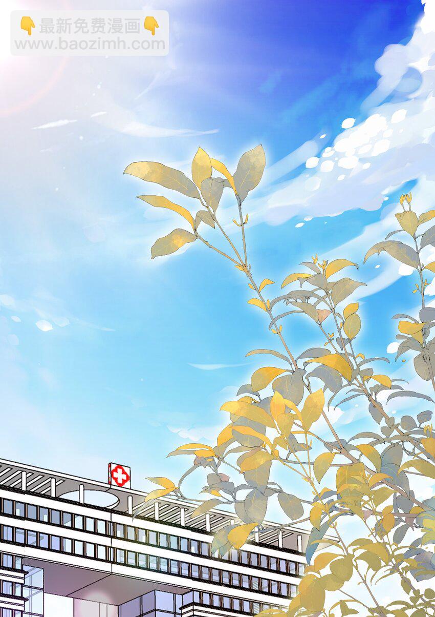 第52话 我会努力养蒋医生的！-第53话