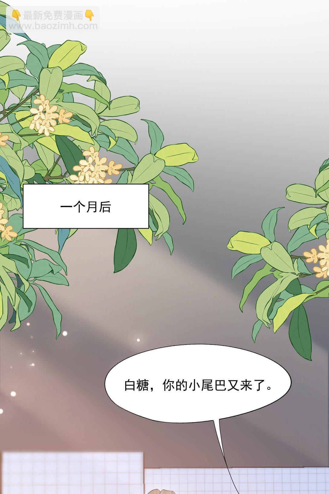 第82话 穿到云书小时候-第85话