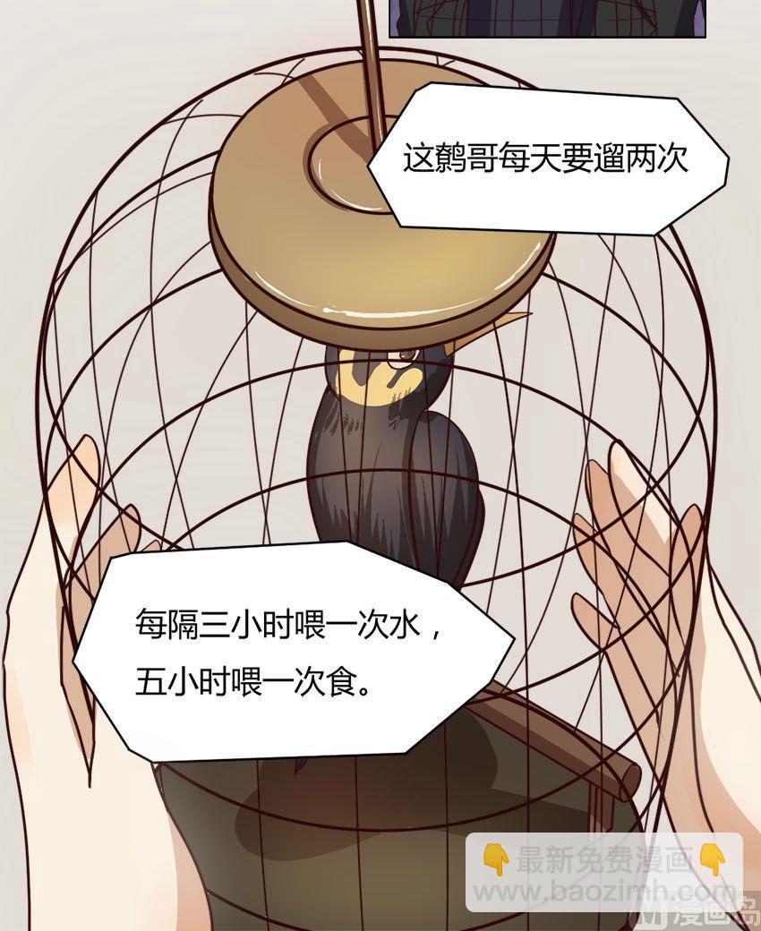 第17话 我不是花店小工我是美久坊老板（5）-第17话