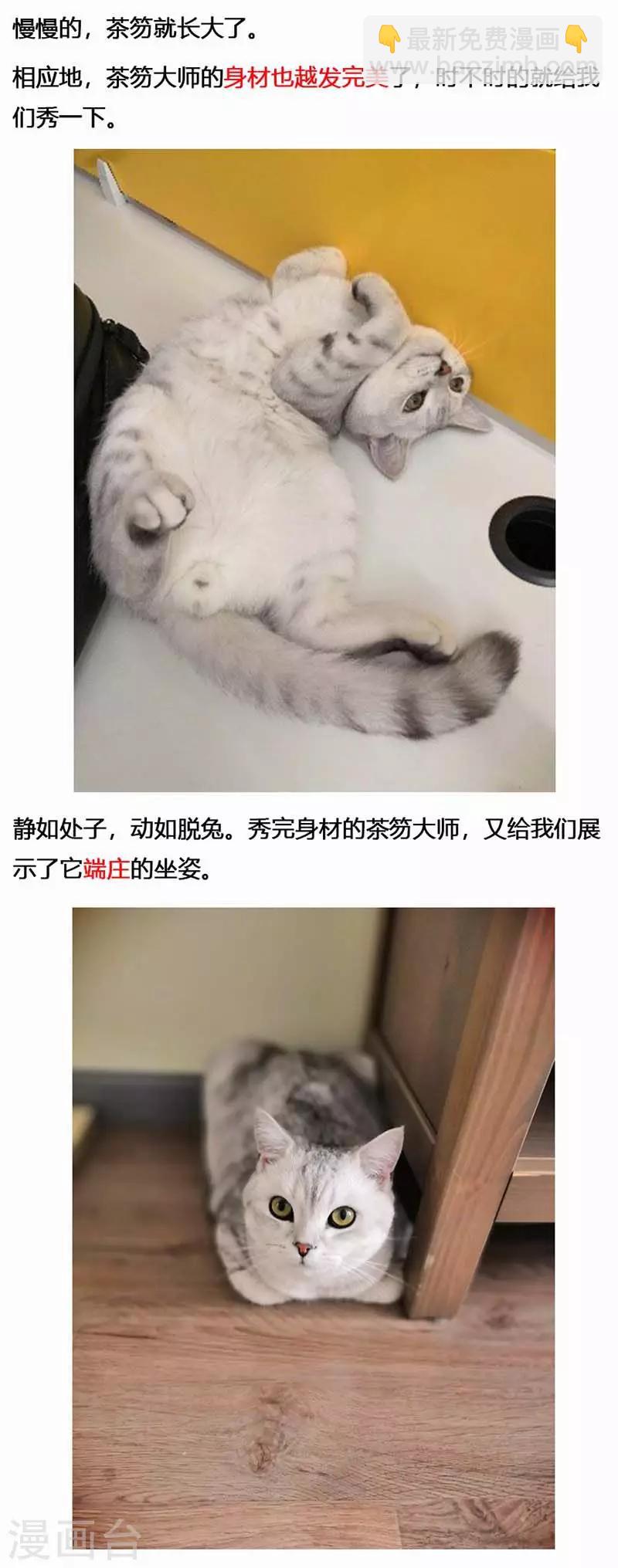 第18话 镜花天2-第19话