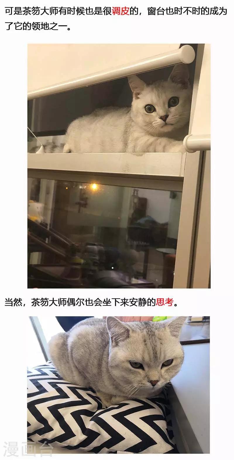 第18话 镜花天2-第19话