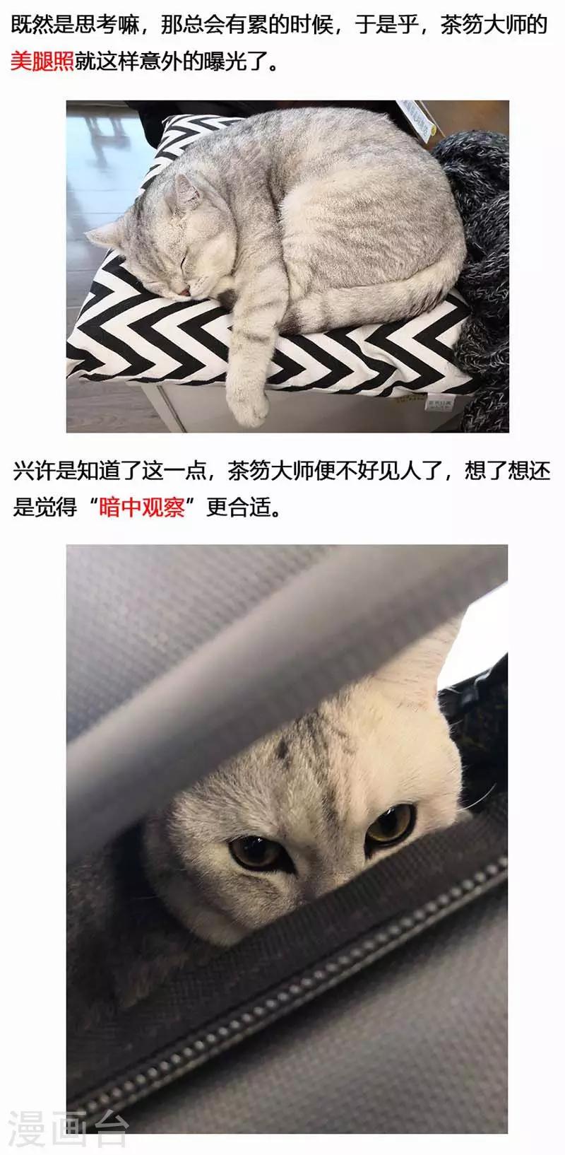 第18话 镜花天2-第19话