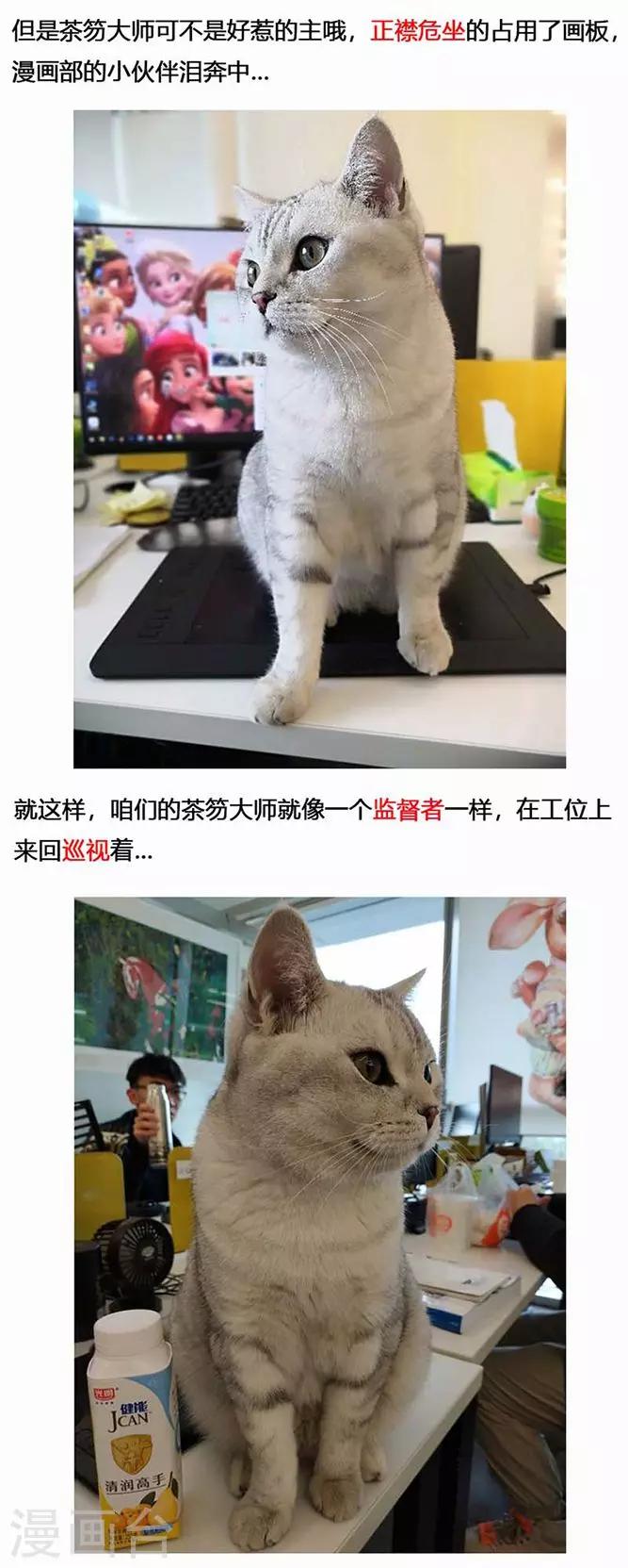 第18话 镜花天2-第19话