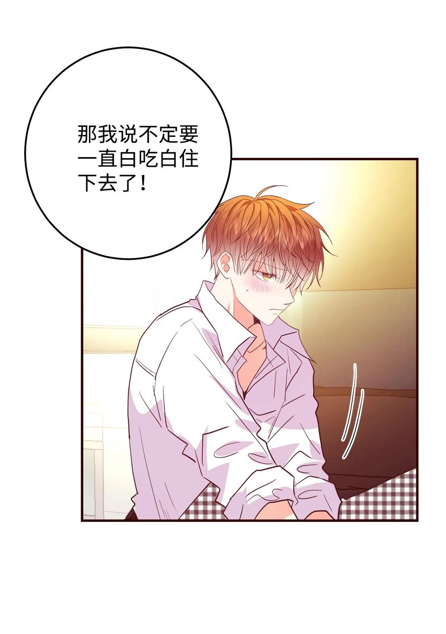 47 不安分的老狐狸(1/2)-第47话