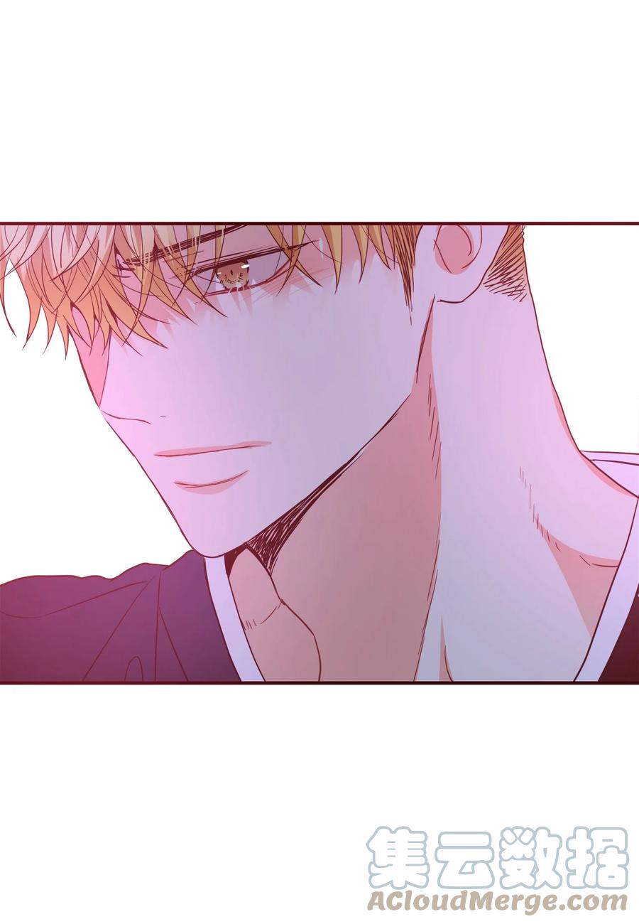 47 不安分的老狐狸(1/2)-第47话