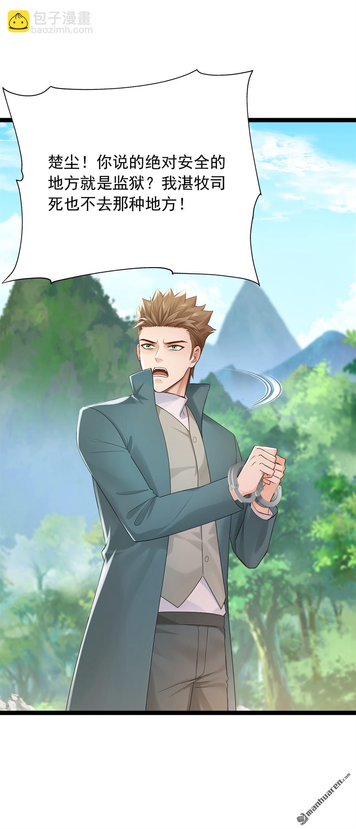 鎮國神婿 - 第259回 好強的陣法！ - 3