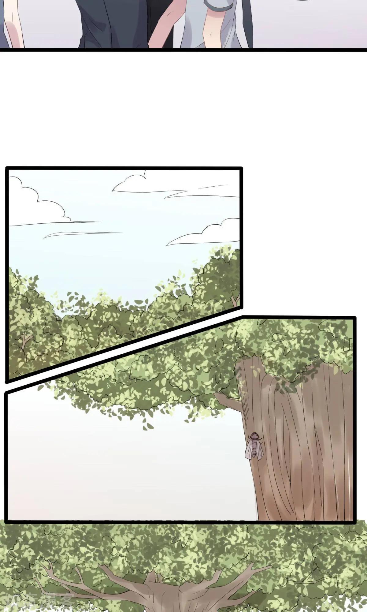 第11话 真情流露-第11话