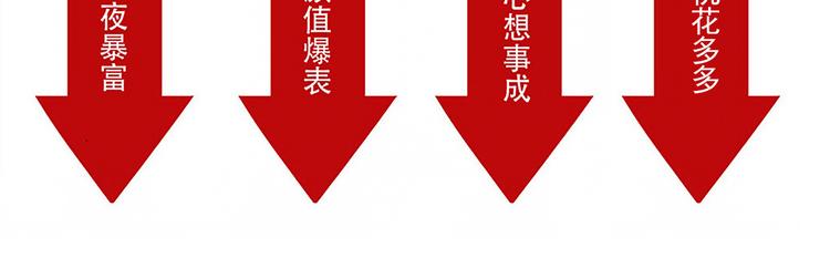 一本正经-第21话