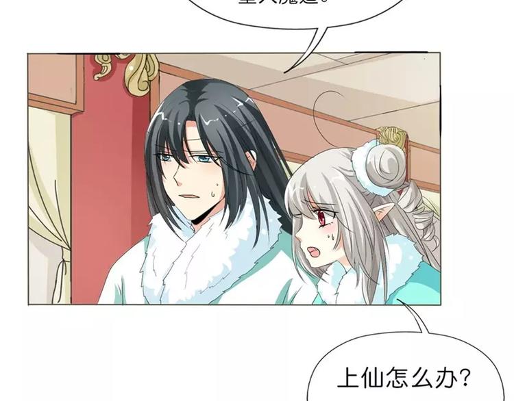 完结话-前篇(1/2)-第137话