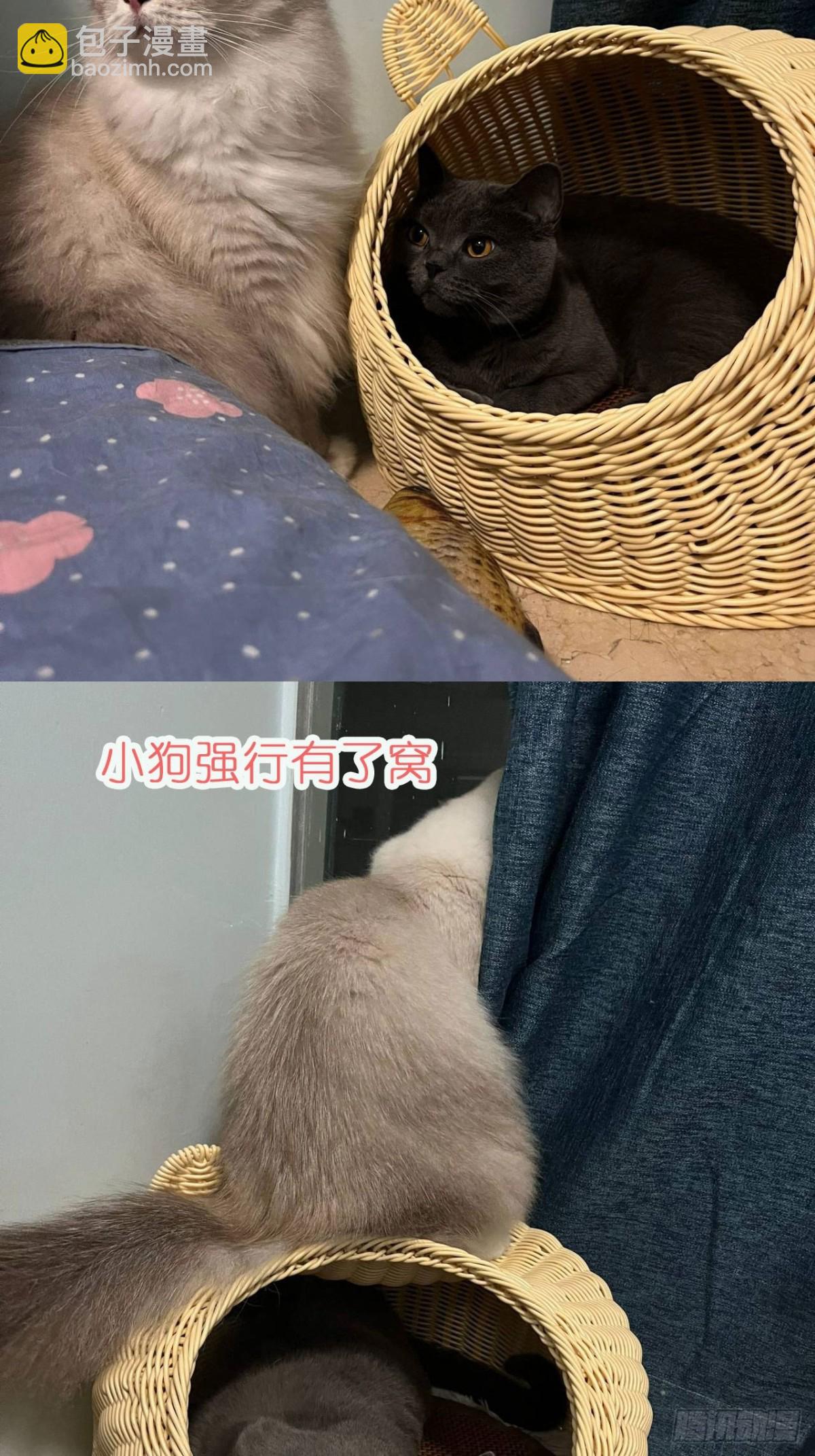 第84话 你逃不出我的手掌心-第87话