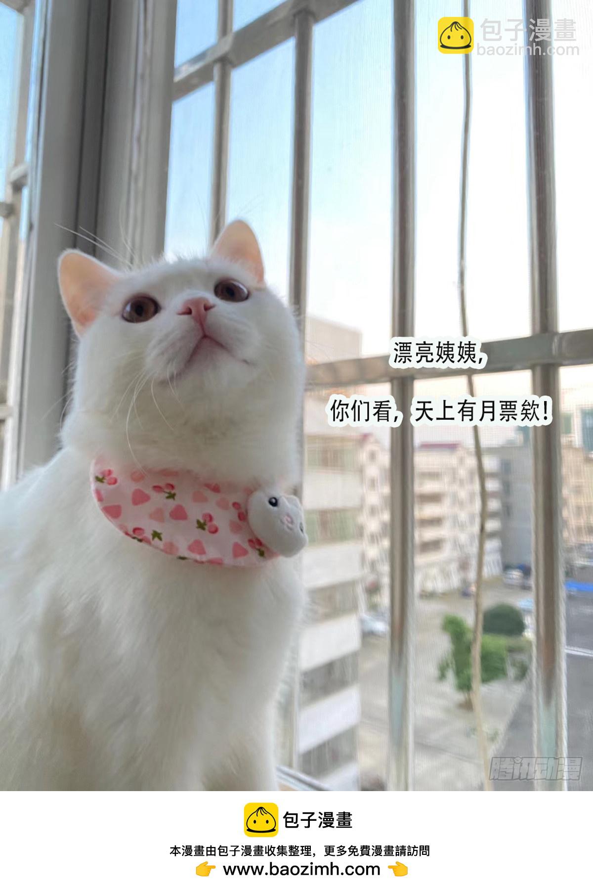 第88话 依法逮捕-第91话