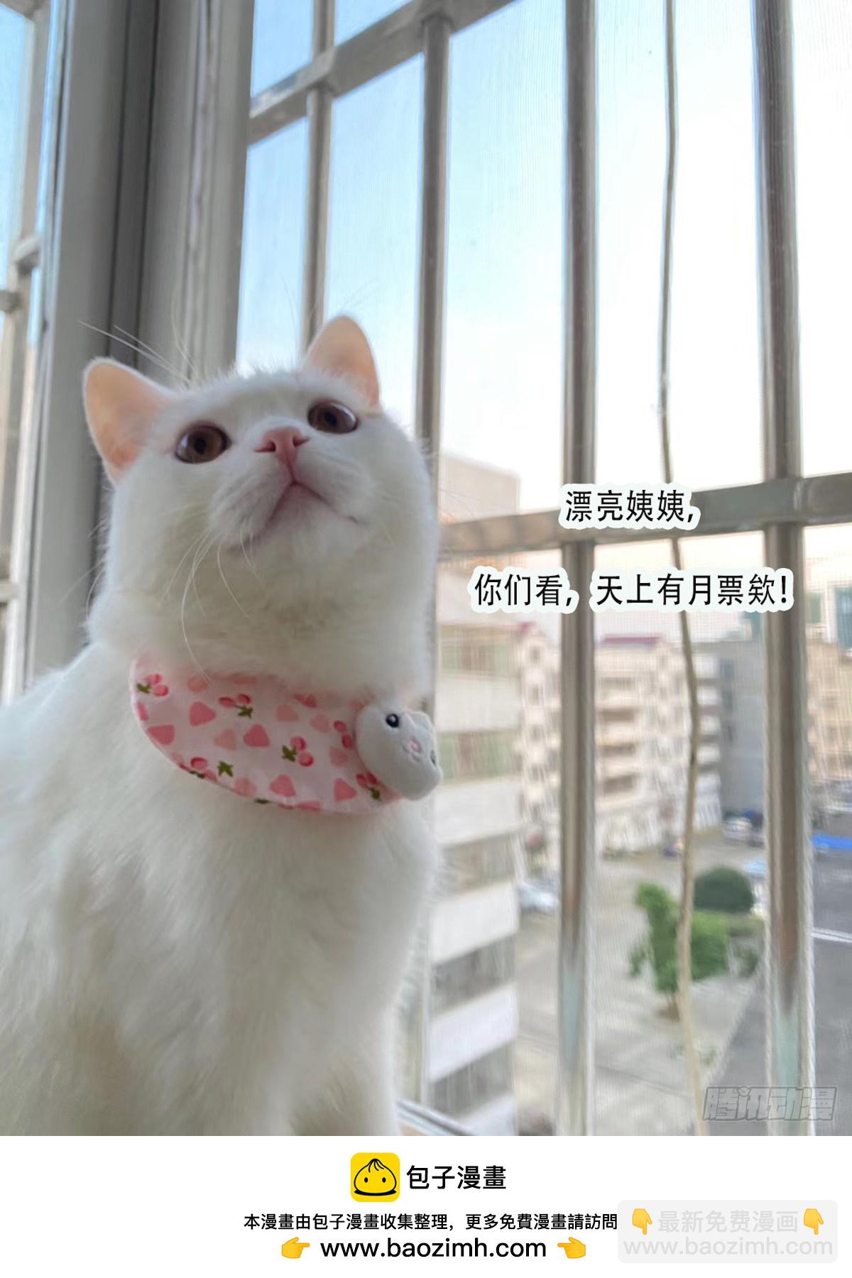 第90话 他在试探我-第93话