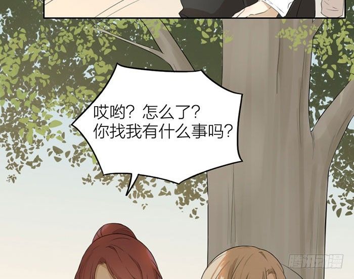 敢不敢打个赌？(1/2)-第5话