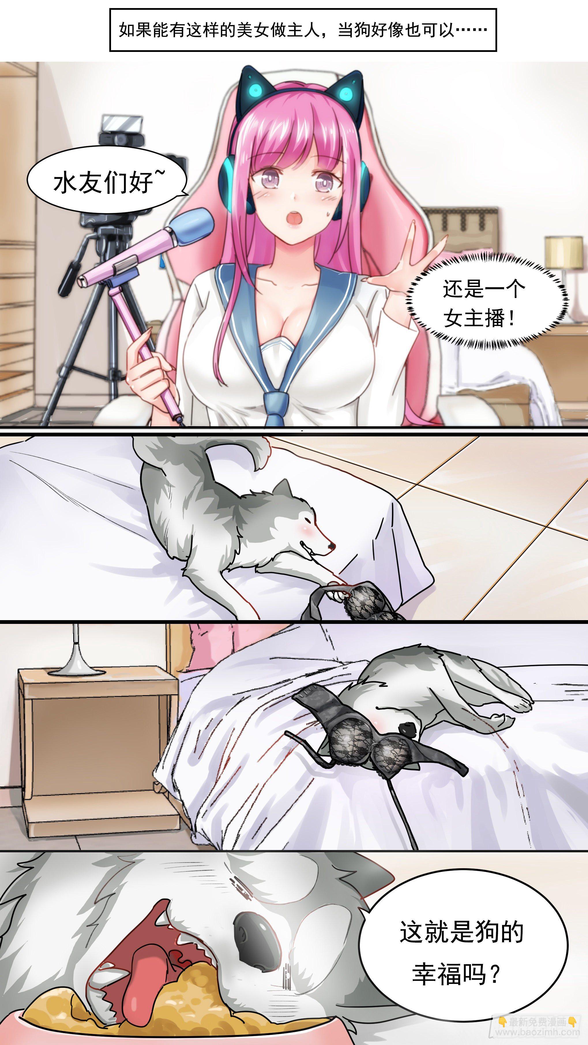 直播：女神家的哈士奇天秀 - 預告 - 1