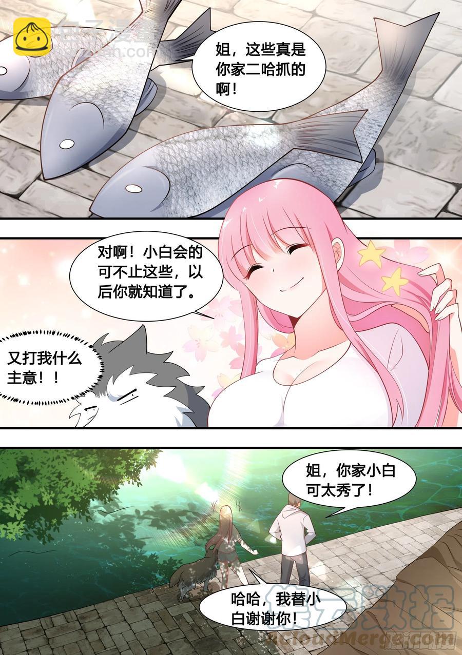 直播：女神家的哈士奇天秀 - 100-還得看我家小白 - 1