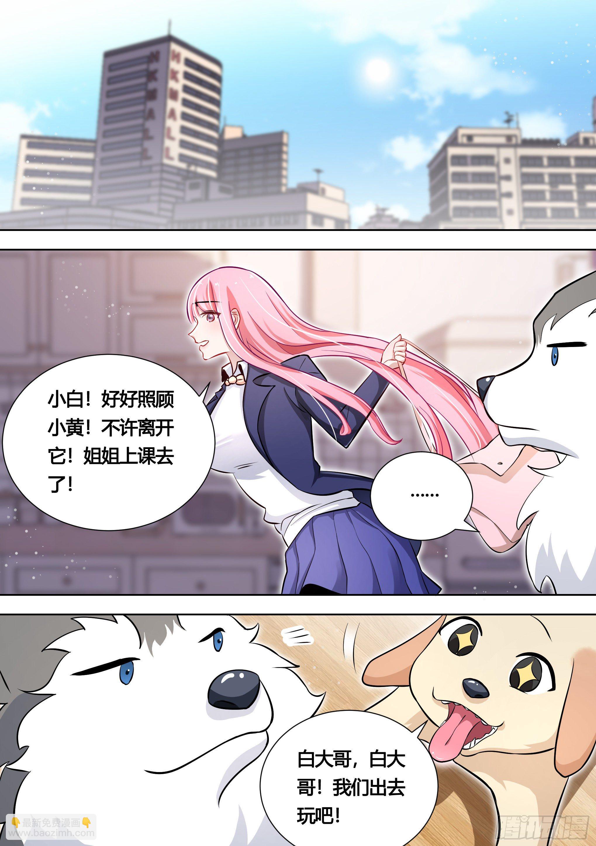 直播：女神家的哈士奇天秀 - 140-關於小黃是個美人的事 - 2