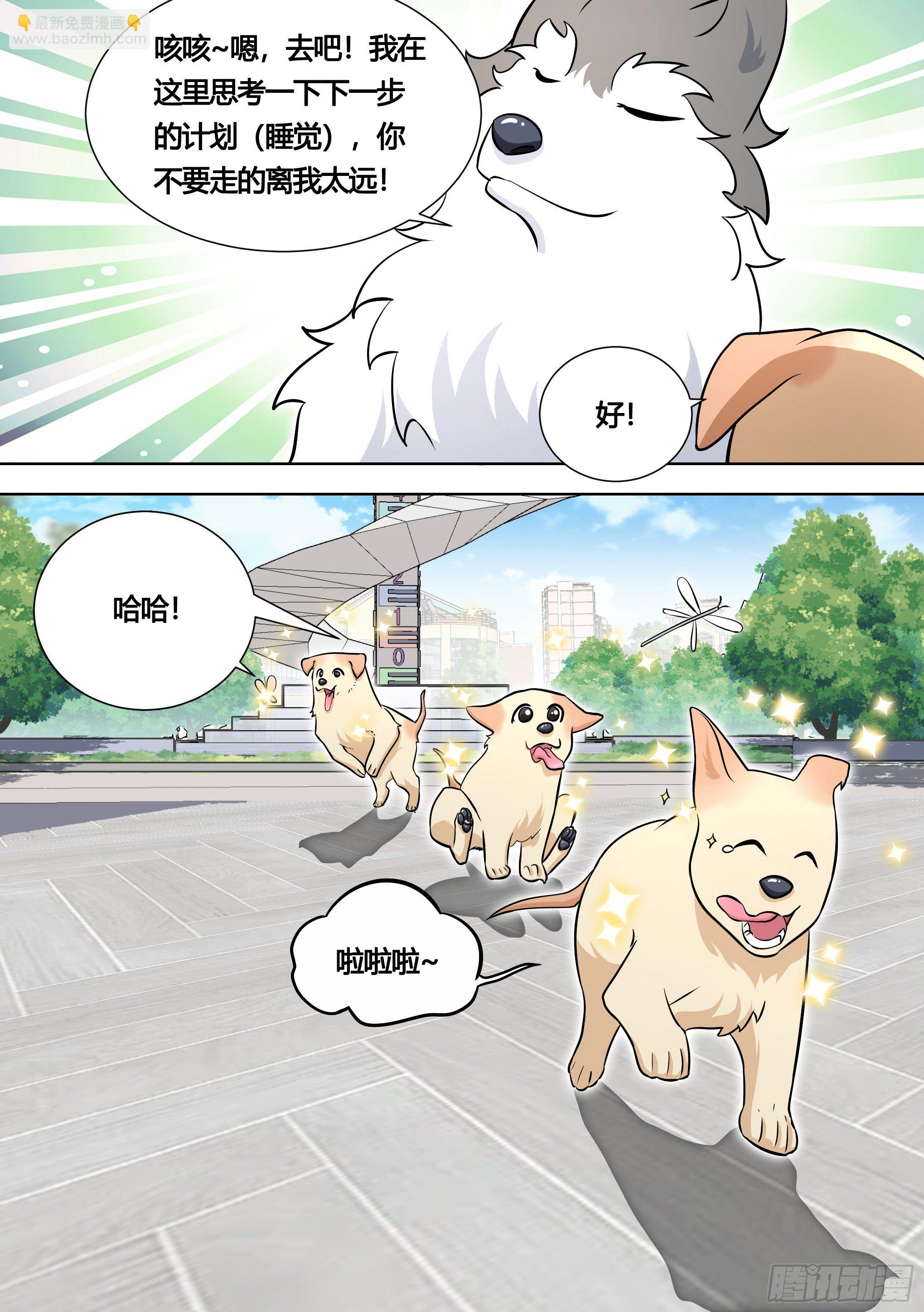 直播：女神家的哈士奇天秀 - 140-關於小黃是個美人的事 - 2