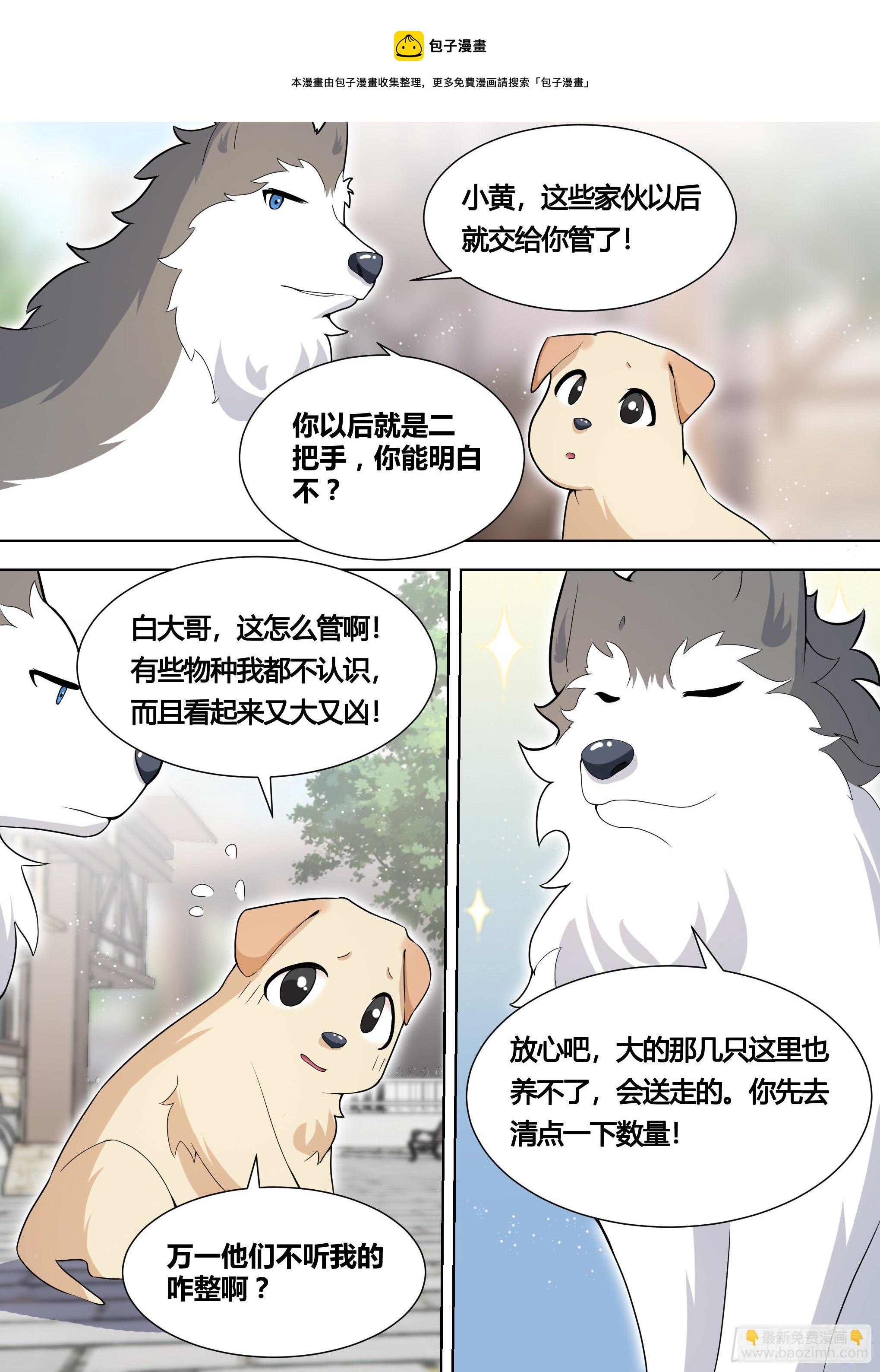 直播：女神家的哈士奇天秀 - 151-這是要開動物園的節奏 - 4