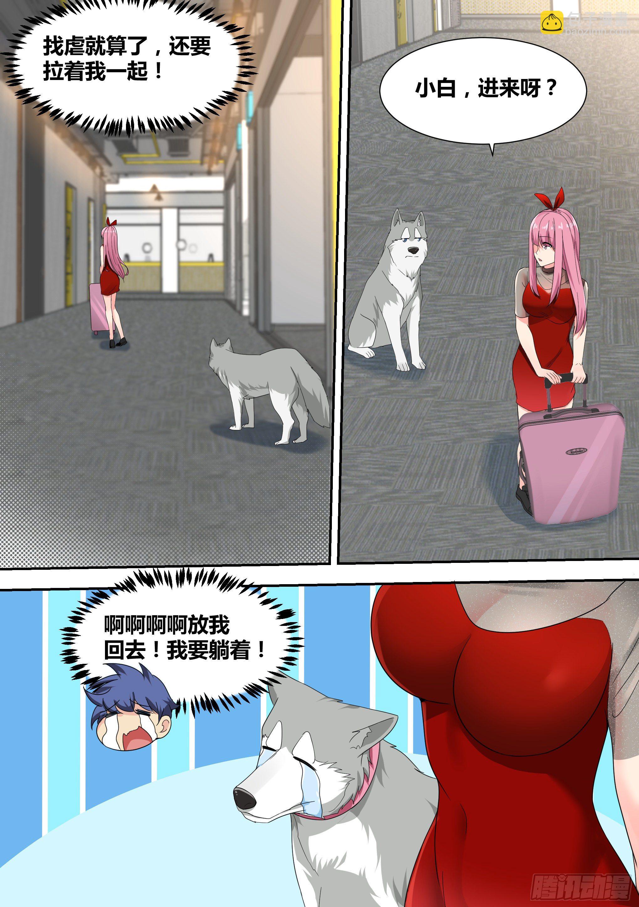 直播：女神家的哈士奇天秀 - 16-荒島，我來了！ - 4