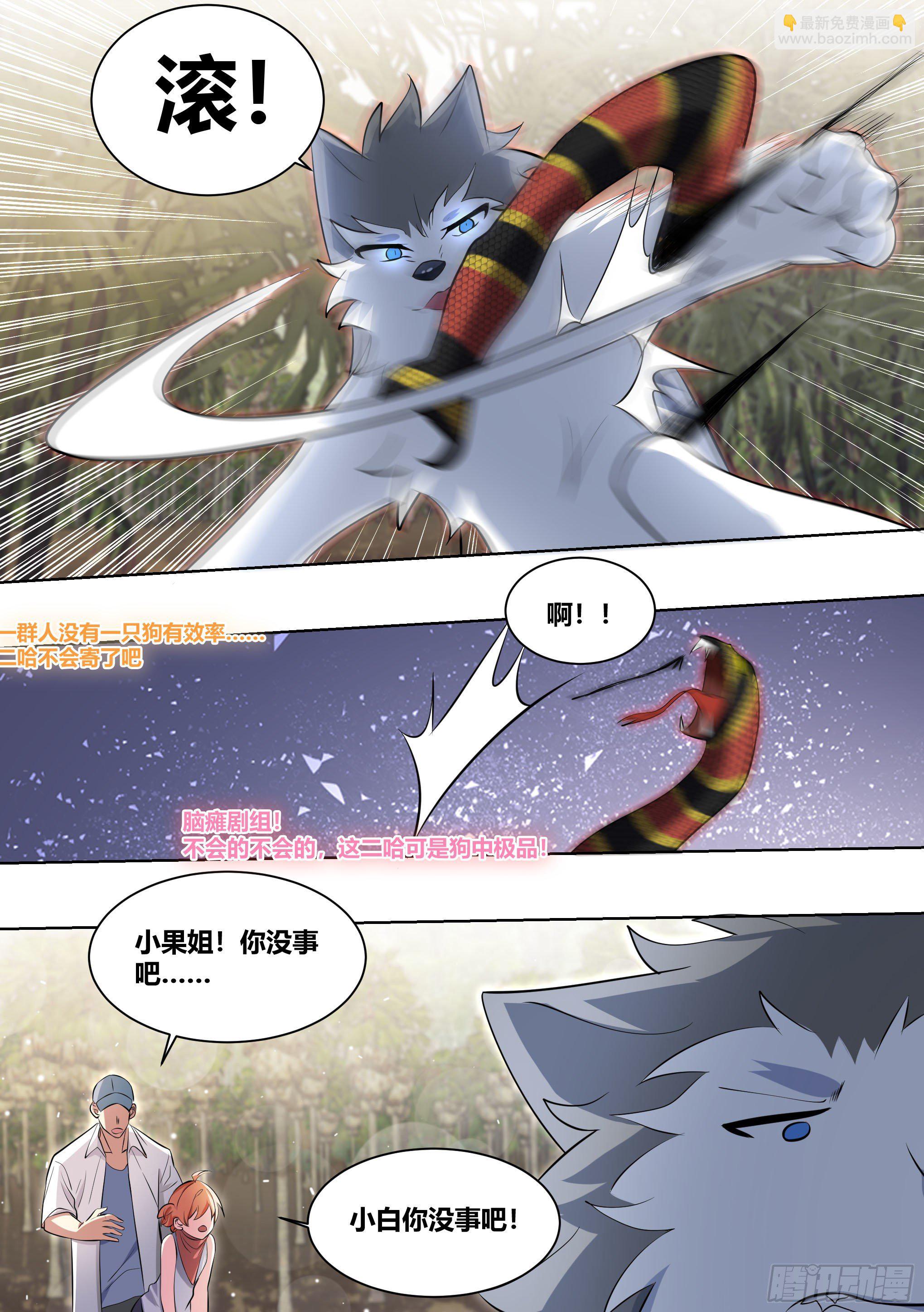 直播：女神家的哈士奇天秀 - 181-全雞宴 - 2