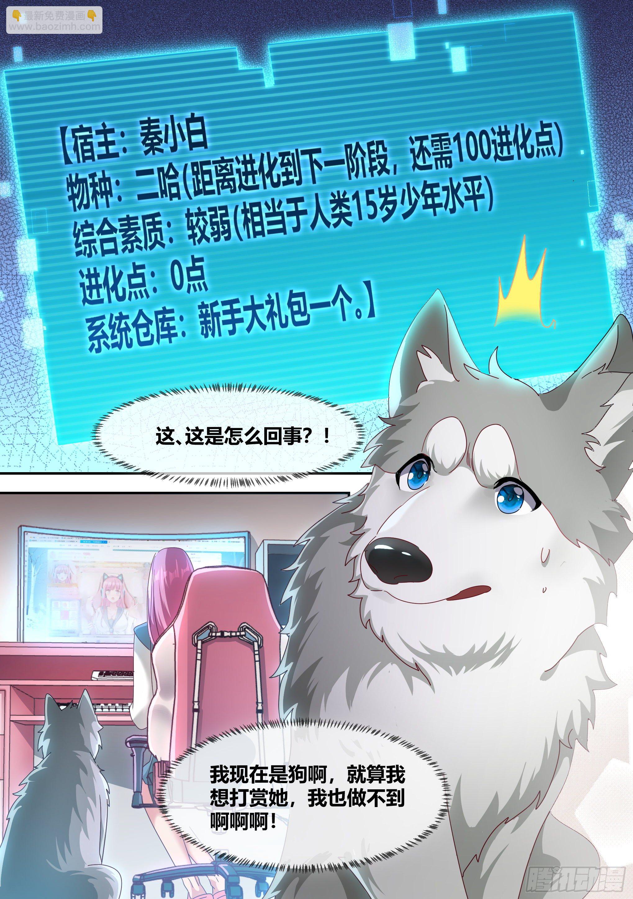 直播：女神家的哈士奇天秀 - 2-“狗皇”誕生了！ - 2