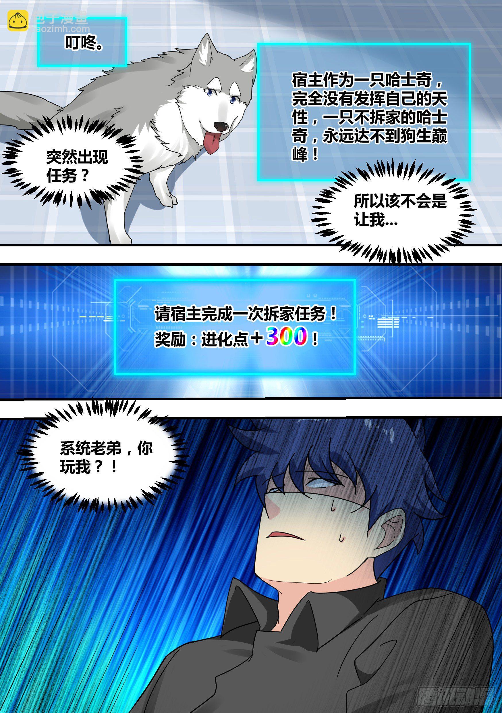 直播：女神家的哈士奇天秀 - 22-拆家基因覺醒 - 3