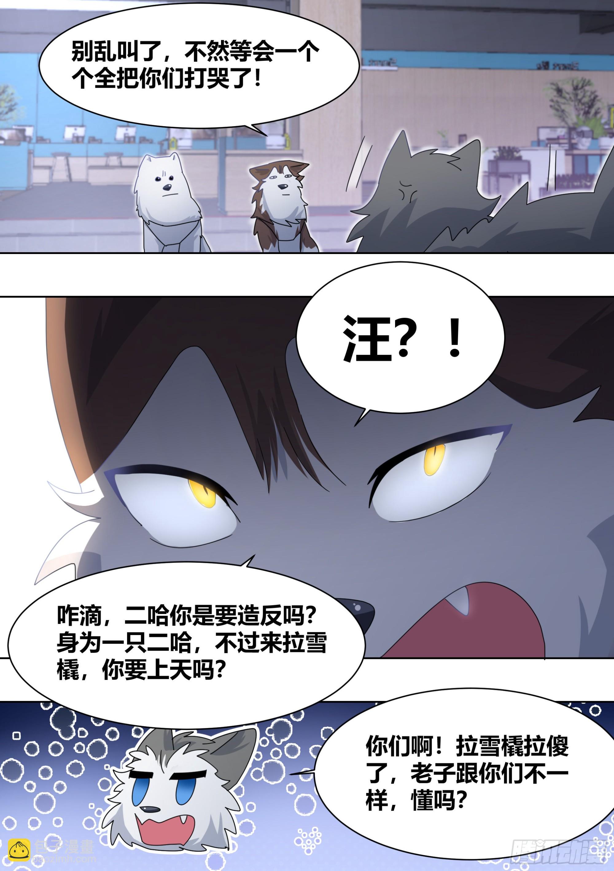 直播：女神家的哈士奇天秀 - 271-狩獵白熊 - 1