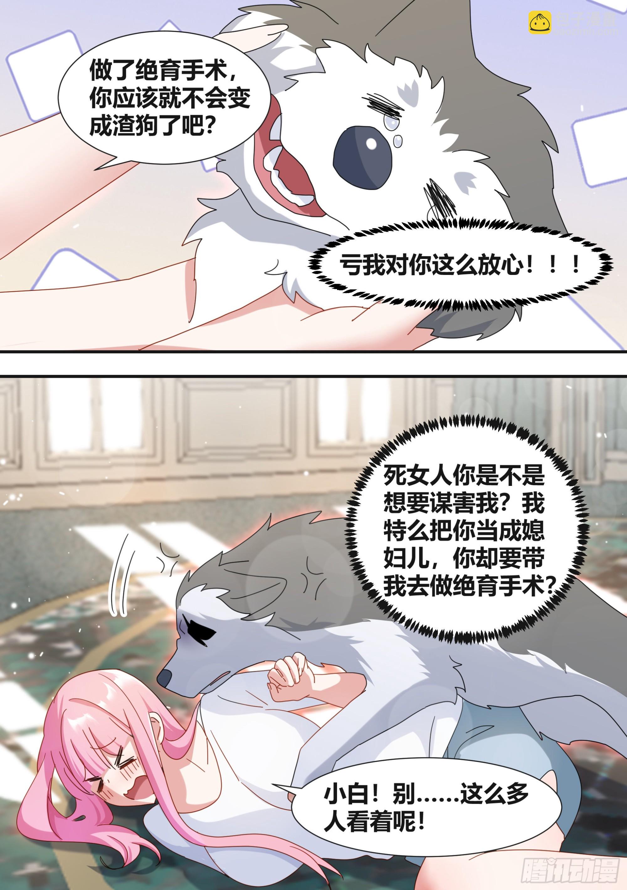 直播：女神家的哈士奇天秀 - 281-買的流量？ - 3