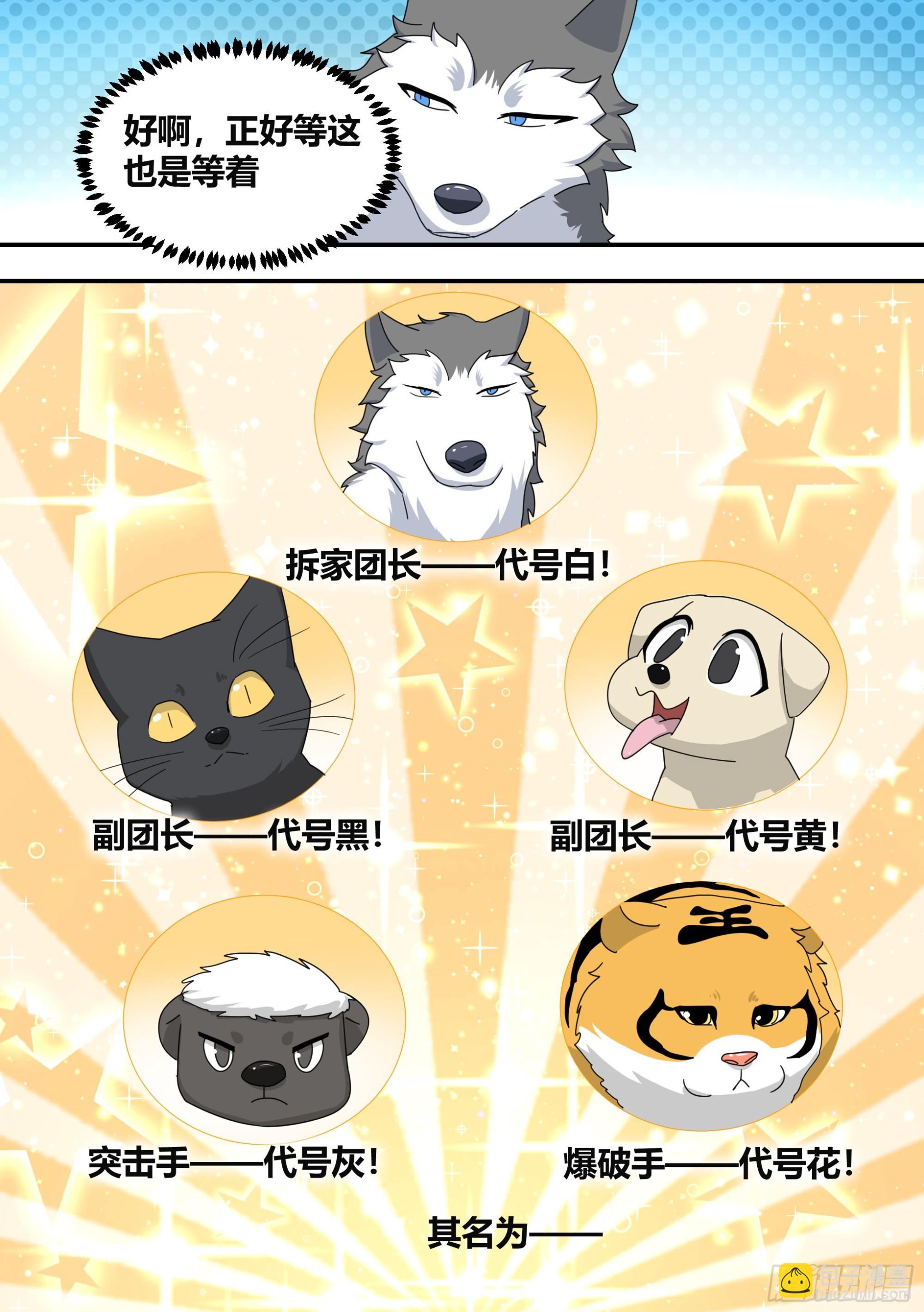 直播：女神家的哈士奇天秀 - 291-王下拆五海 - 3