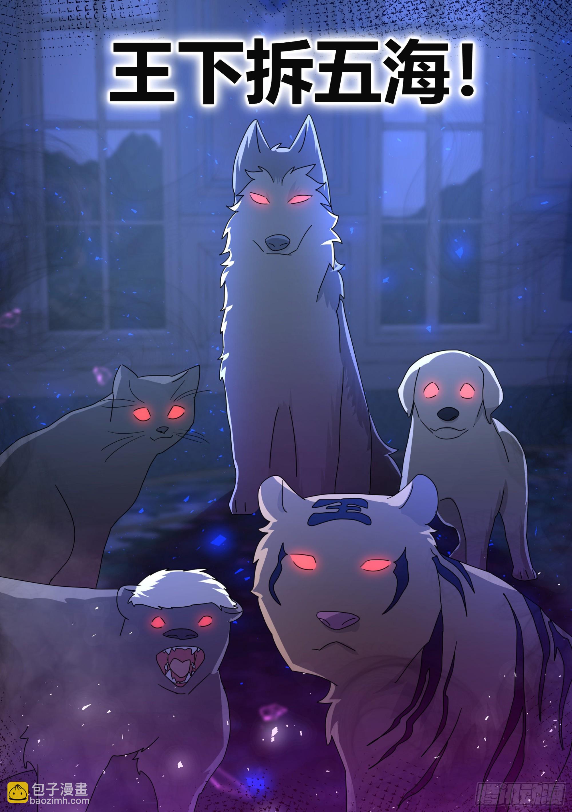 直播：女神家的哈士奇天秀 - 291-王下拆五海 - 1