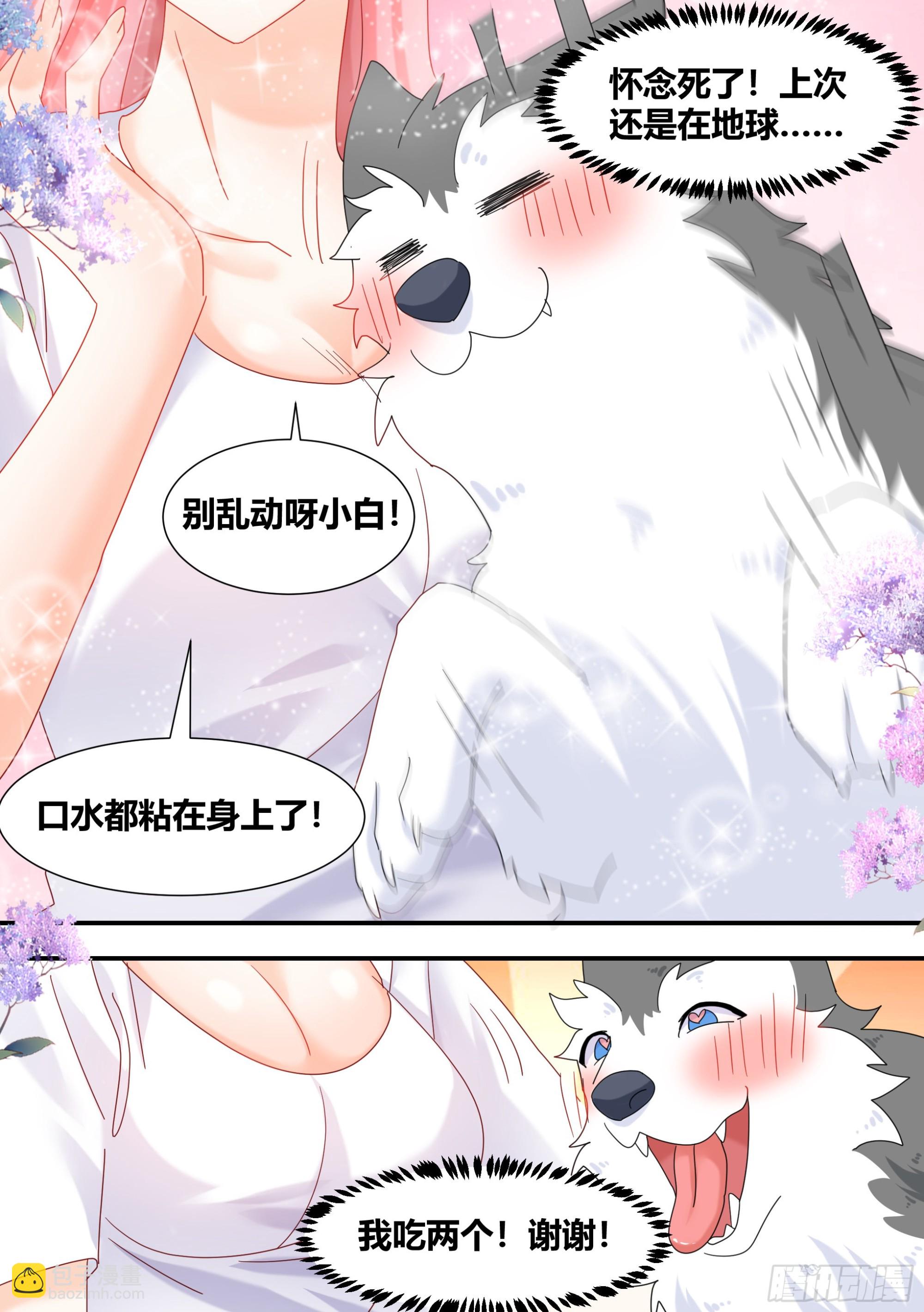 直播：女神家的哈士奇天秀 - 297-第一 - 3