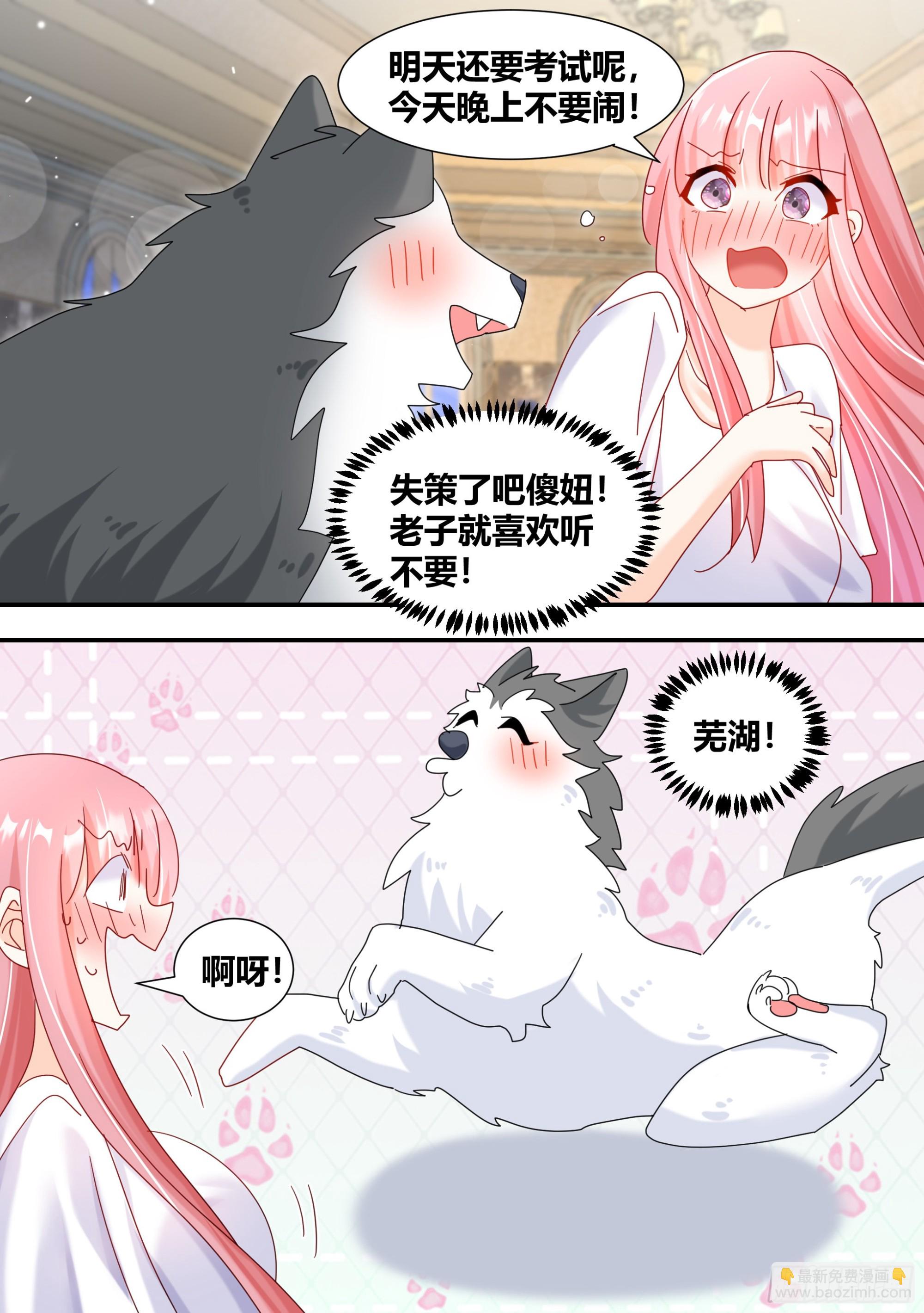 直播：女神家的哈士奇天秀 - 297-第一 - 1