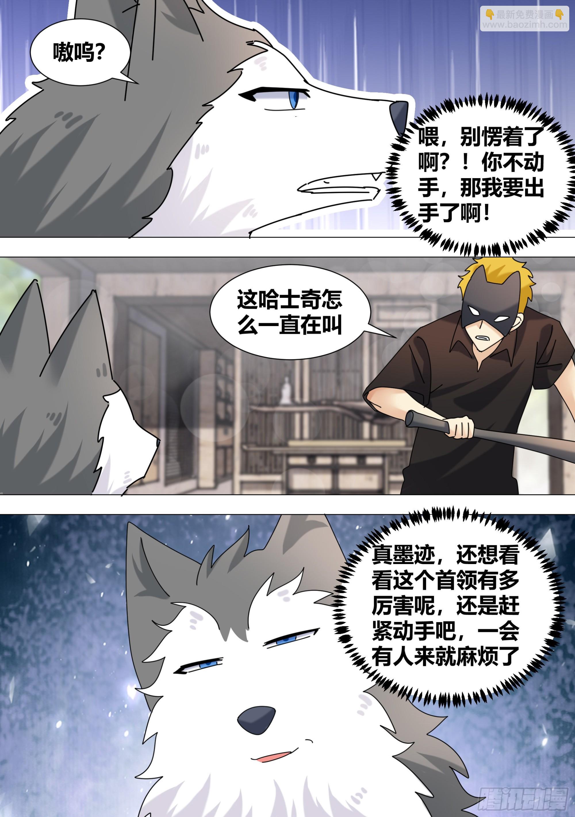 直播：女神家的哈士奇天秀 - 365-我都有點於心不忍了 - 3