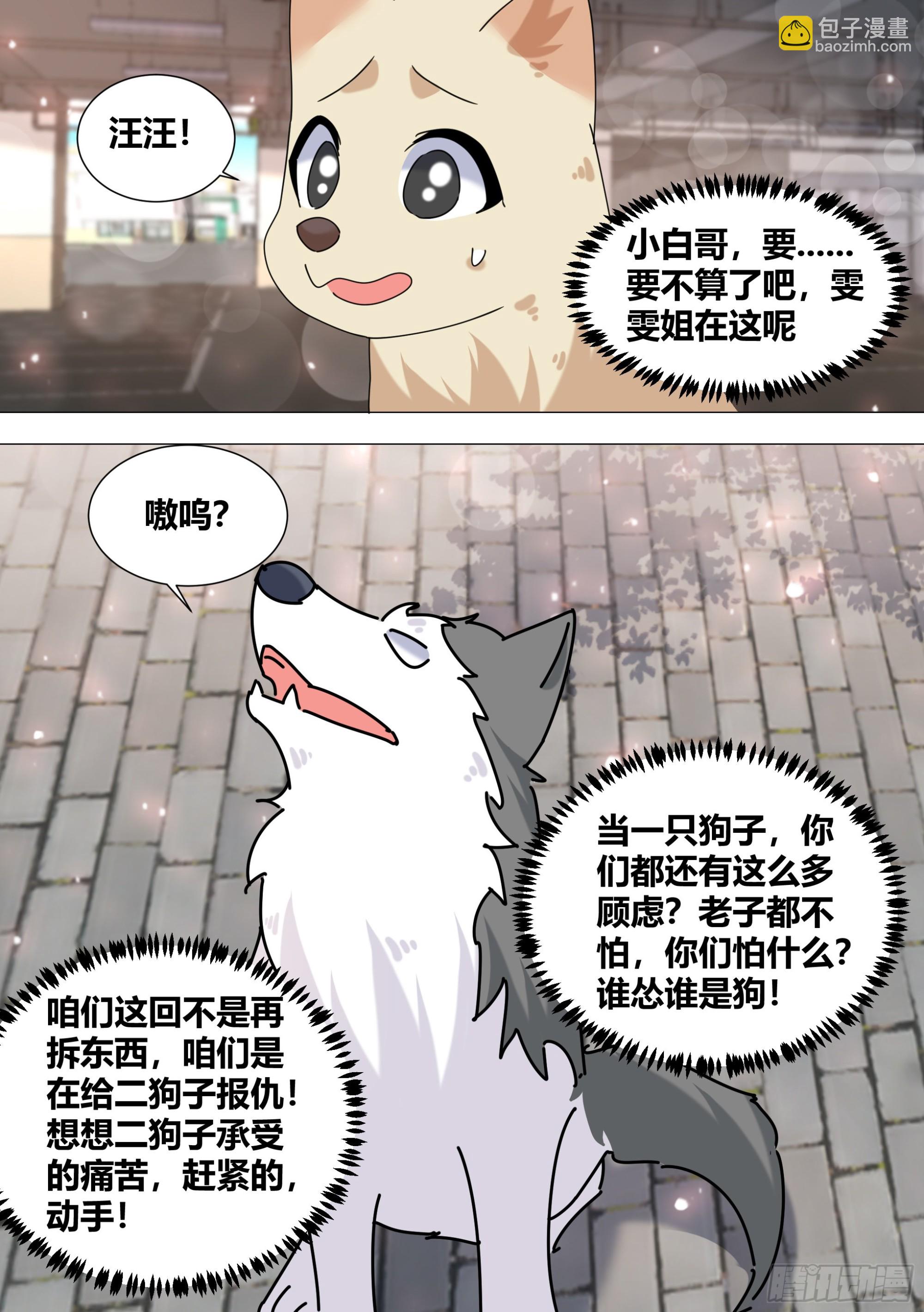 直播：女神家的哈士奇天秀 - 373-這個蠢女人怎麼來了 - 1