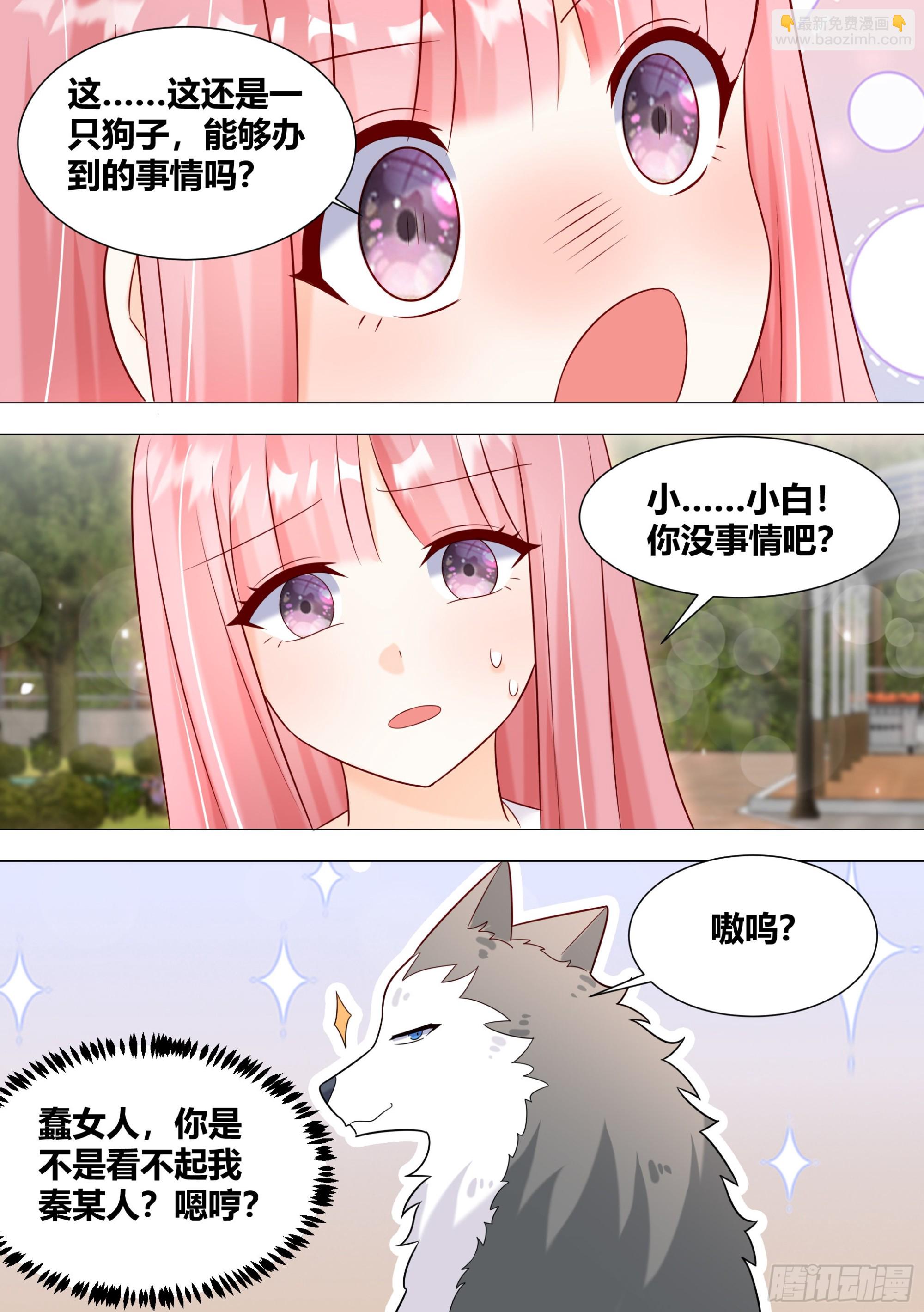 直播：女神家的哈士奇天秀 - 389-直接開錘 - 1