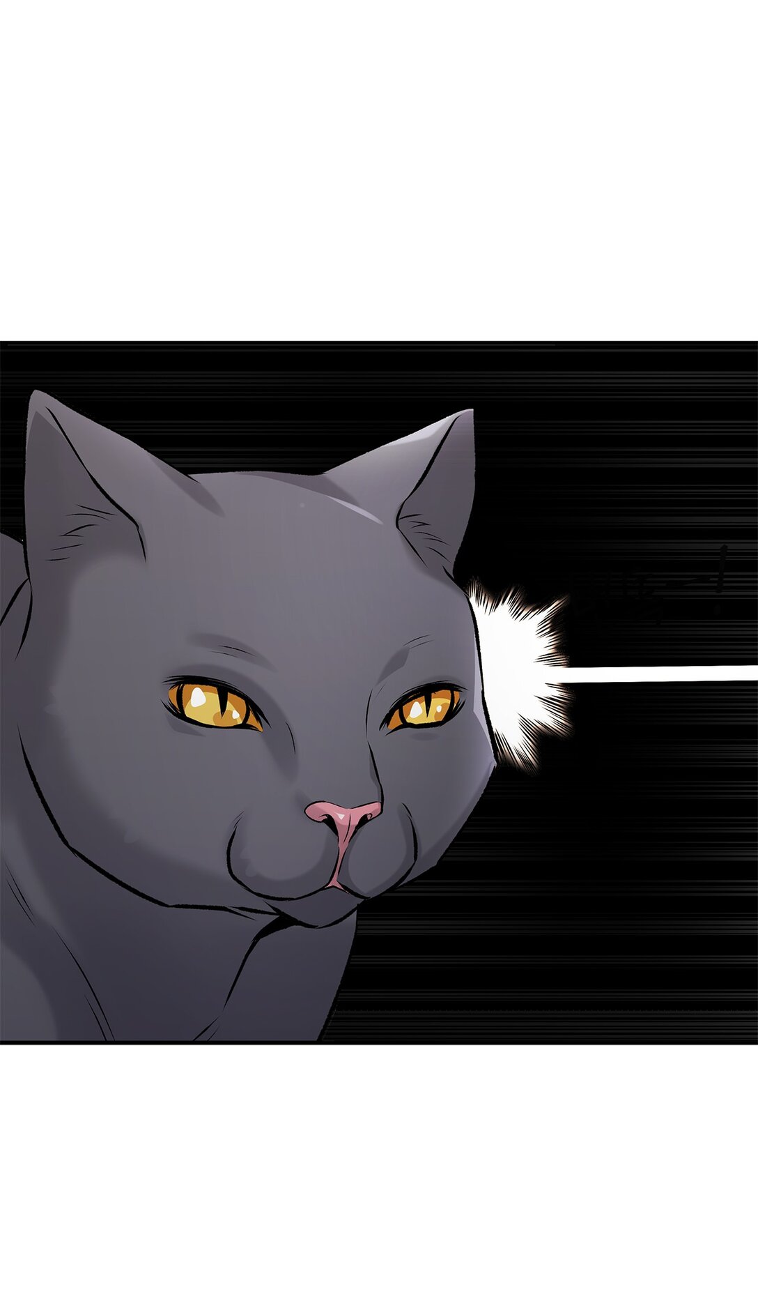 03 神秘的簇子(1/2)-第3话