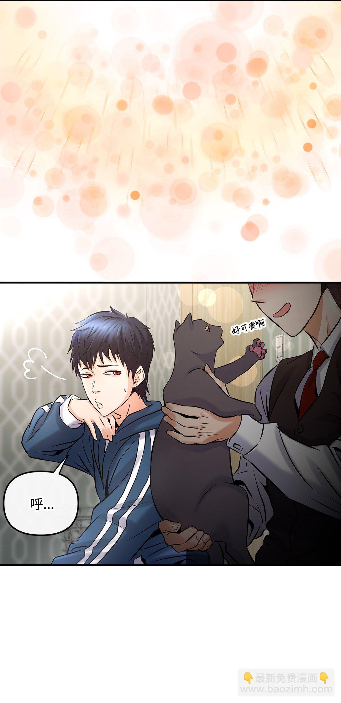 03 神秘的簇子(1/2)-第3话