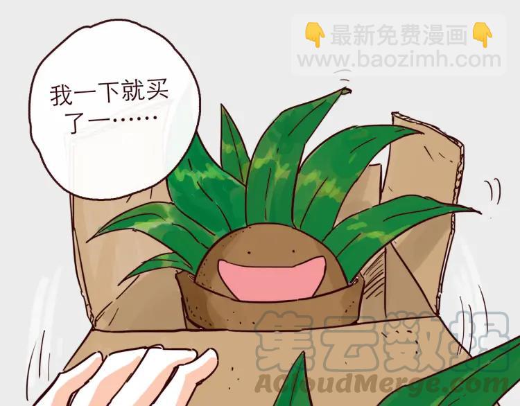 完结篇 我们在一起(1/2)-第151话