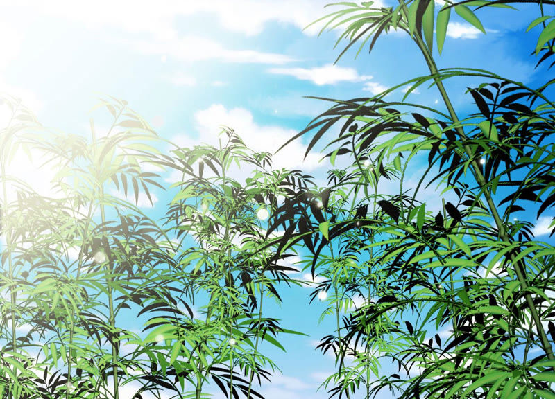 知君深情不易 - 第108話 遵命，我的宮主大人(1/2) - 2